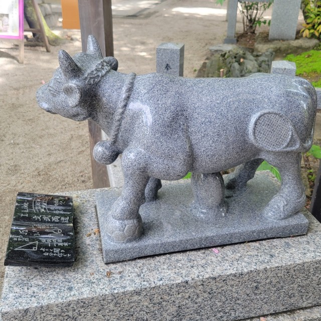 f:id:atoriatoriatori:20220510210515j:image