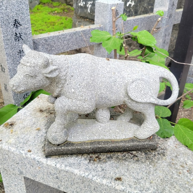 f:id:atoriatoriatori:20220510210522j:image