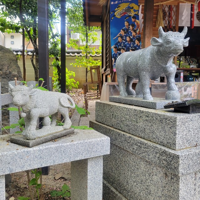 f:id:atoriatoriatori:20220511100329j:image