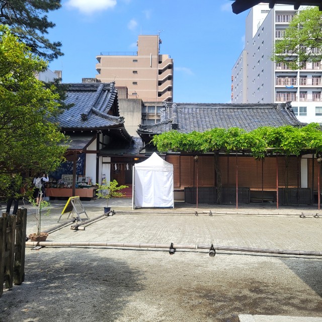 f:id:atoriatoriatori:20220511100730j:image