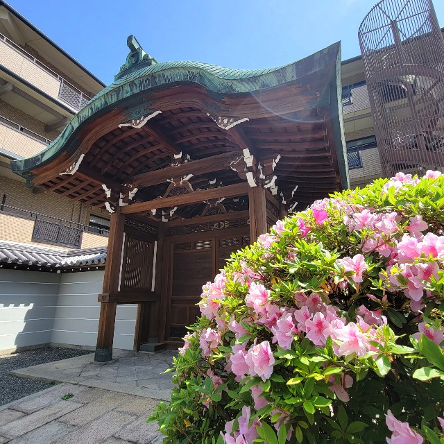 f:id:atoriatoriatori:20220512103523j:image