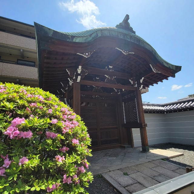 f:id:atoriatoriatori:20220512103530j:image