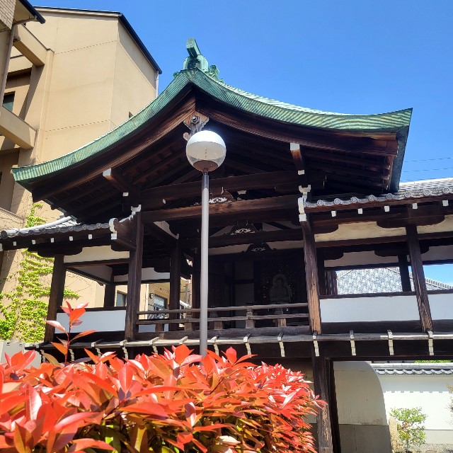 f:id:atoriatoriatori:20220512130007j:image