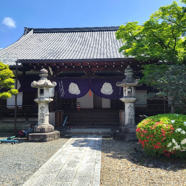f:id:atoriatoriatori:20220512131515j:image