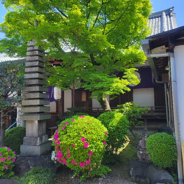 f:id:atoriatoriatori:20220512132818j:image