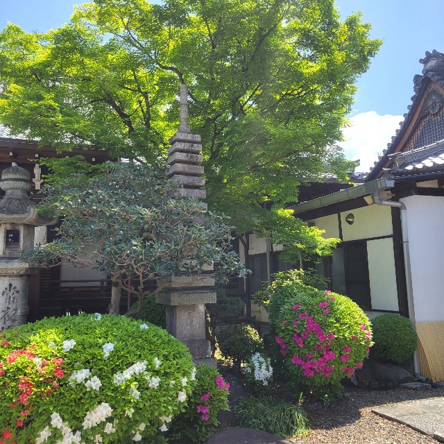 f:id:atoriatoriatori:20220512132826j:image