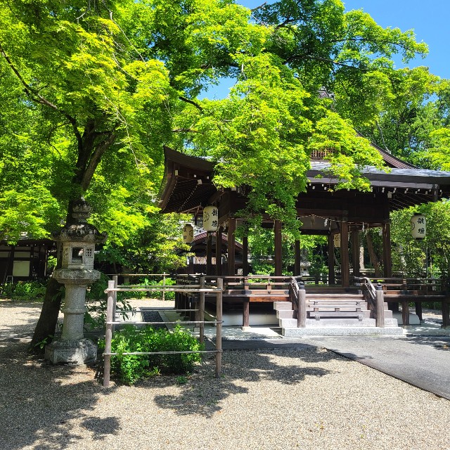 f:id:atoriatoriatori:20220512173231j:image