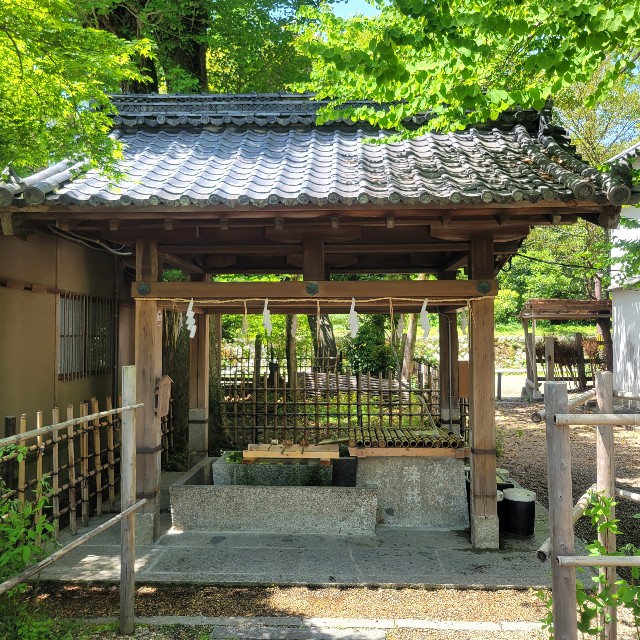 f:id:atoriatoriatori:20220512173248j:image