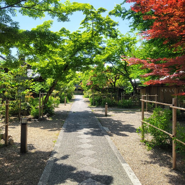 f:id:atoriatoriatori:20220512175534j:image