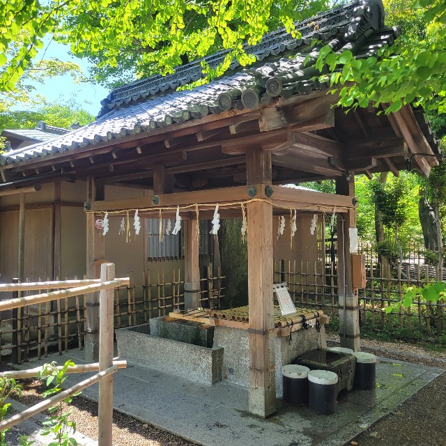 f:id:atoriatoriatori:20220512211935j:image