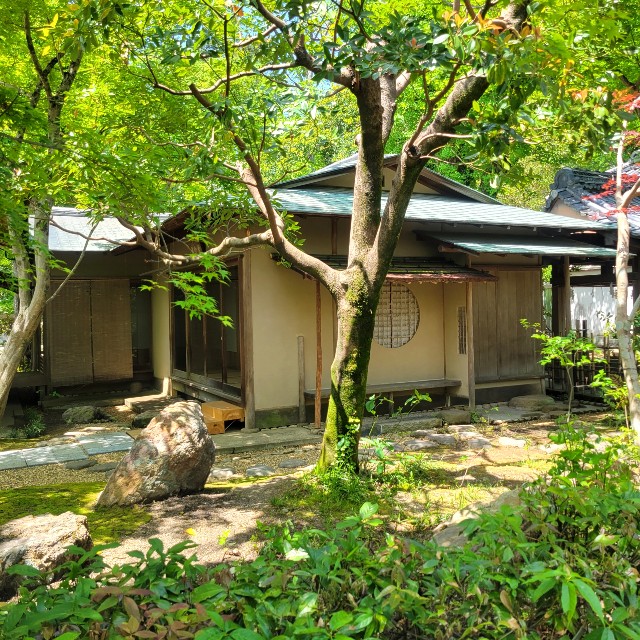 f:id:atoriatoriatori:20220512211946j:image