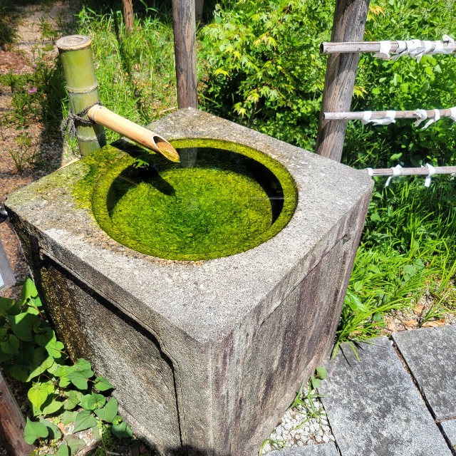 f:id:atoriatoriatori:20220512211952j:image