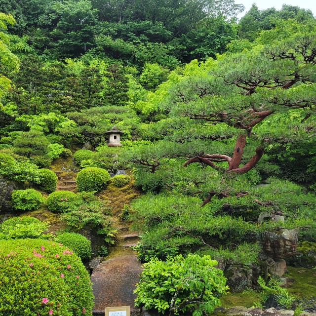 f:id:atoriatoriatori:20220521202916j:image