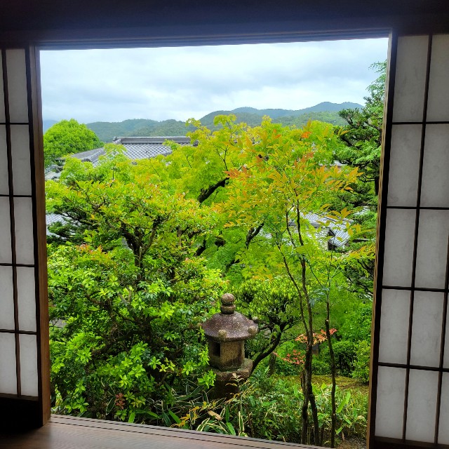 f:id:atoriatoriatori:20220521203126j:image