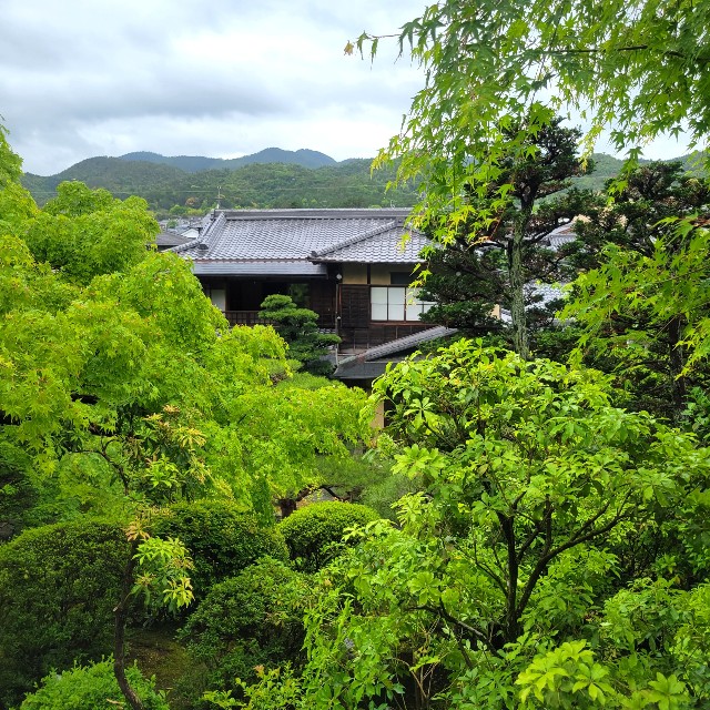 f:id:atoriatoriatori:20220521203247j:image
