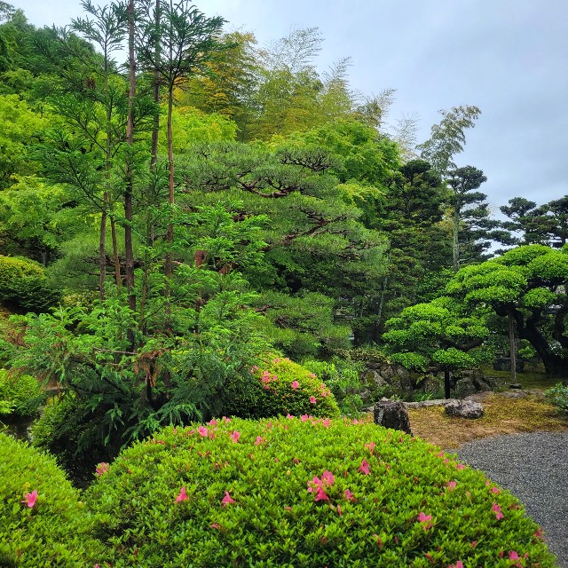 f:id:atoriatoriatori:20220521203550j:image