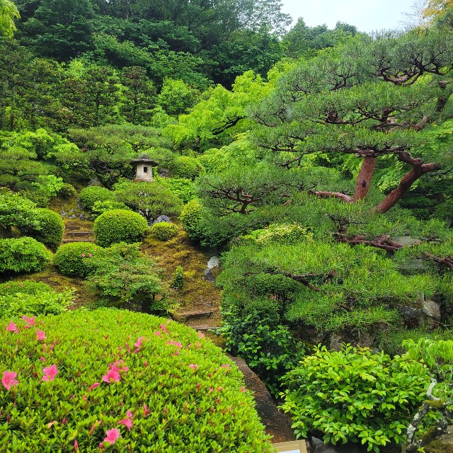 f:id:atoriatoriatori:20220521203557j:image