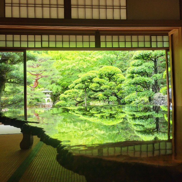 f:id:atoriatoriatori:20220521221555j:image