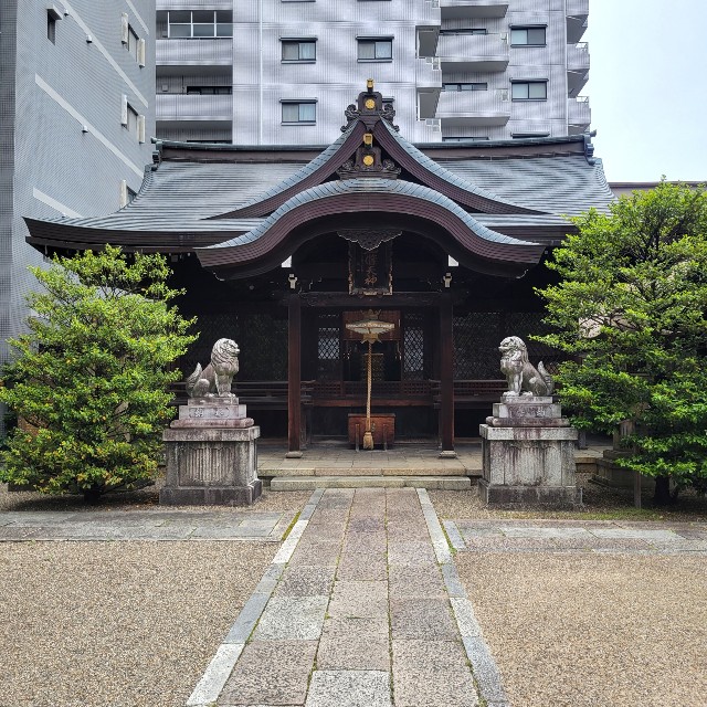 f:id:atoriatoriatori:20220525183353j:image