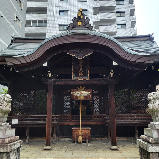 f:id:atoriatoriatori:20220525183630j:image