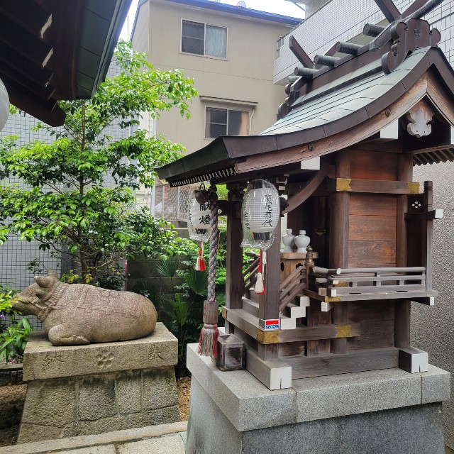 f:id:atoriatoriatori:20220525184412j:image