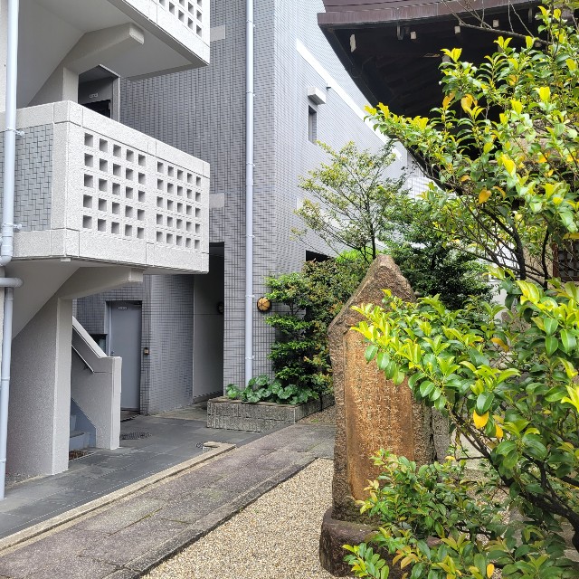 f:id:atoriatoriatori:20220525214121j:image