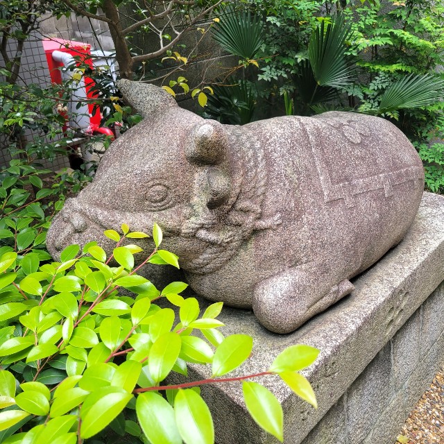 f:id:atoriatoriatori:20220525214130j:image