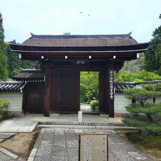 f:id:atoriatoriatori:20220526124817j:image