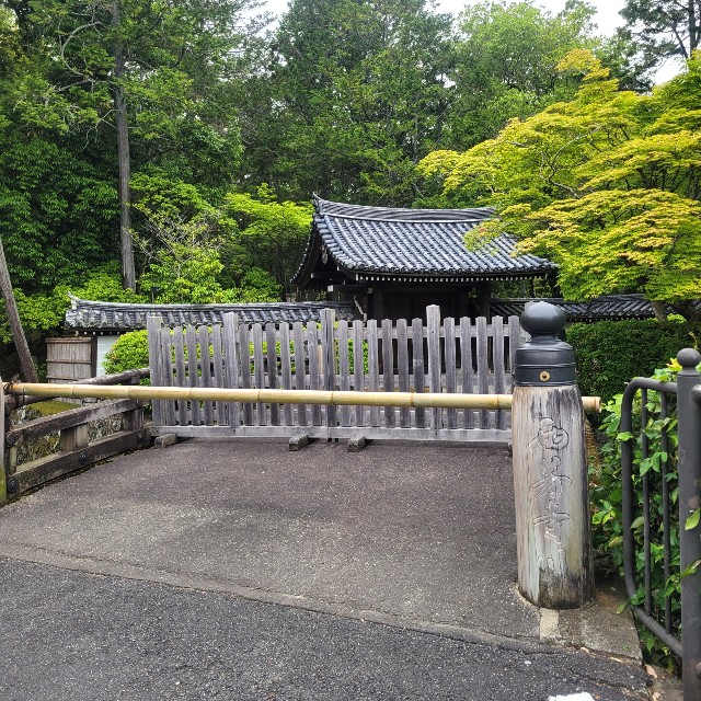 f:id:atoriatoriatori:20220526154950j:image