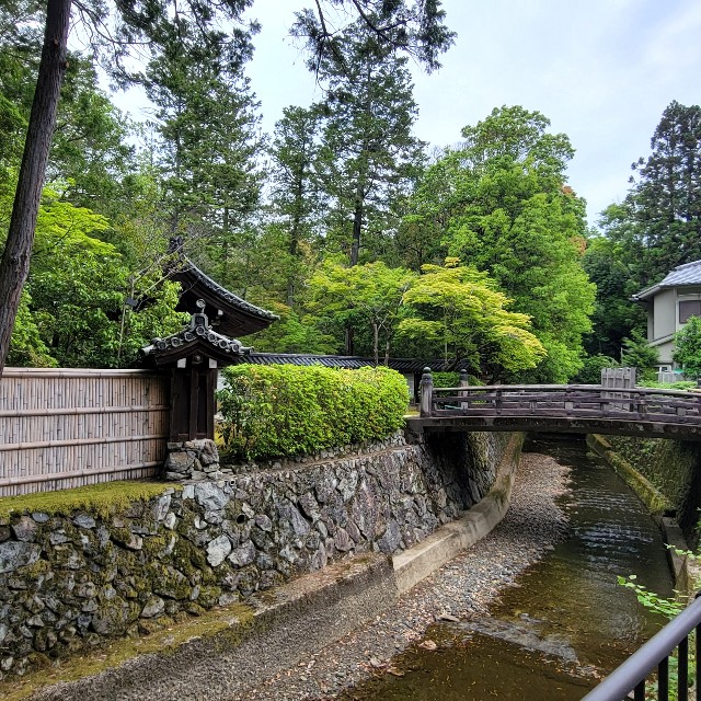 f:id:atoriatoriatori:20220526183640j:image