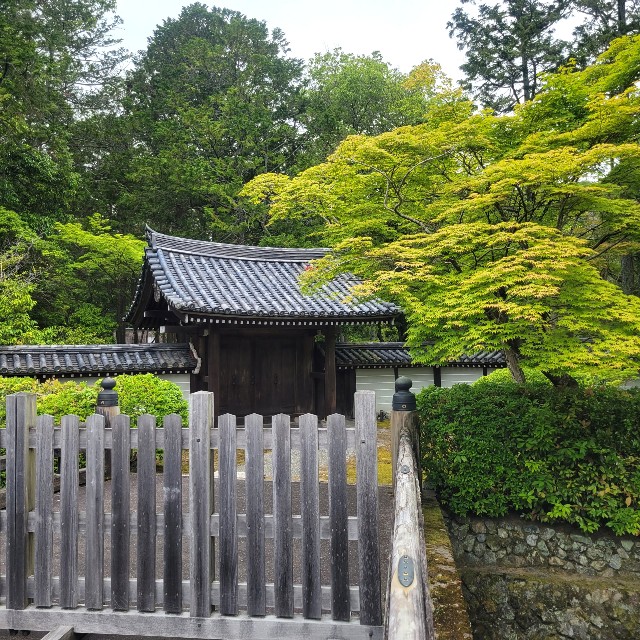 f:id:atoriatoriatori:20220526183704j:image