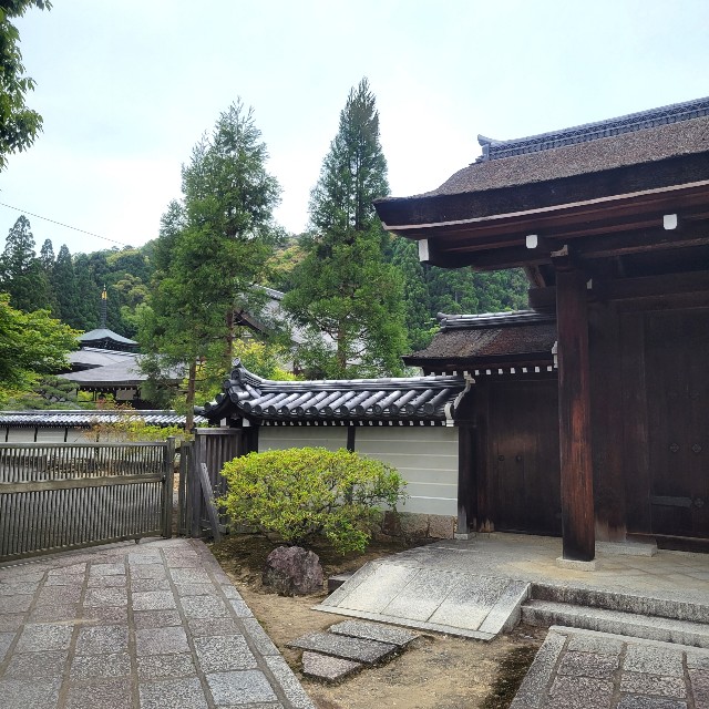 f:id:atoriatoriatori:20220527094431j:image