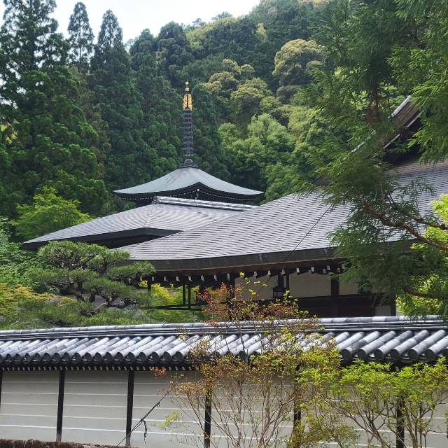 f:id:atoriatoriatori:20220527094437j:image