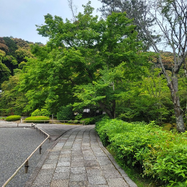 f:id:atoriatoriatori:20220527103538j:image
