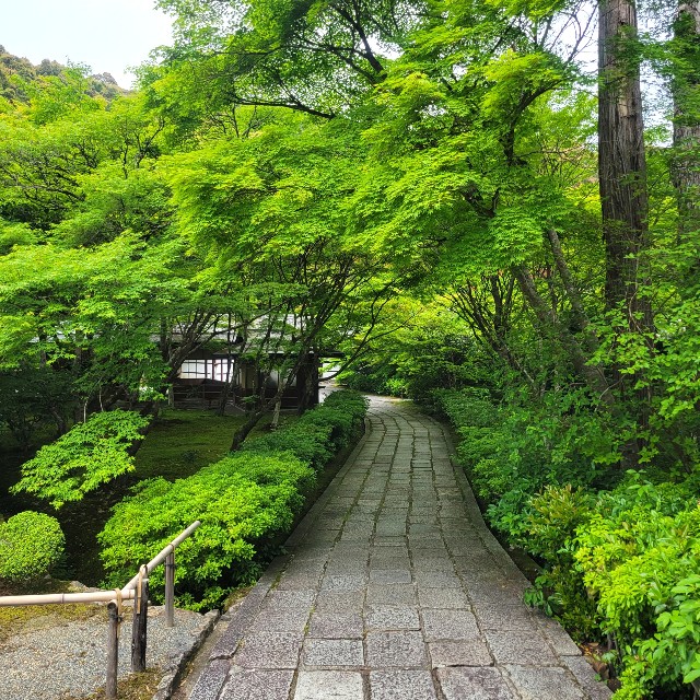 f:id:atoriatoriatori:20220527103550j:image