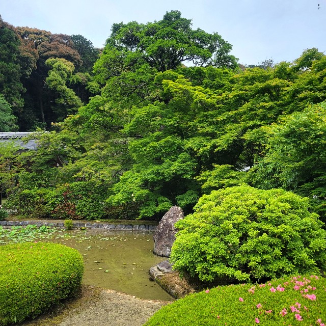 f:id:atoriatoriatori:20220527103838j:image