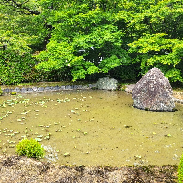 f:id:atoriatoriatori:20220527103859j:image
