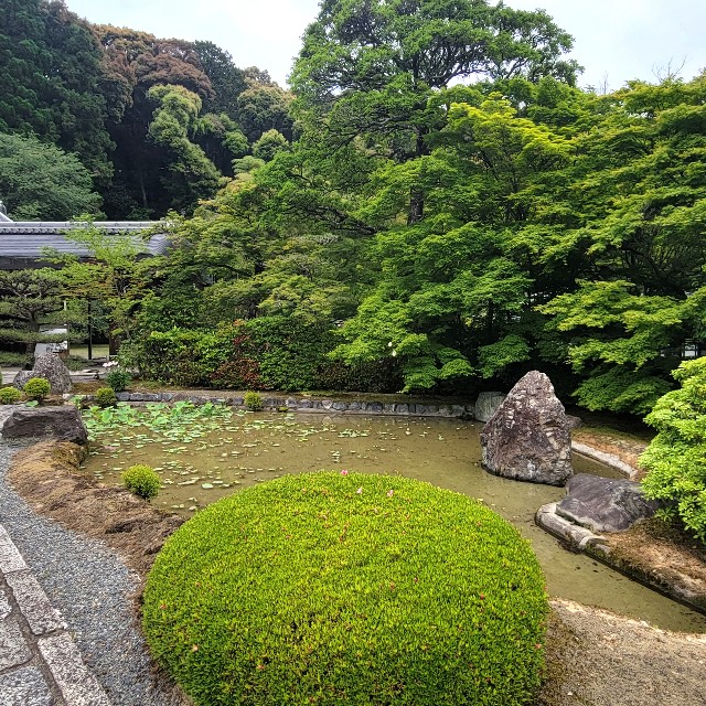 f:id:atoriatoriatori:20220527104143j:image