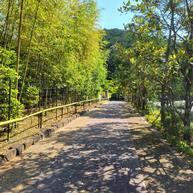 f:id:atoriatoriatori:20220602141642j:image f:id:atoriatoriatori:20220602141642j:image