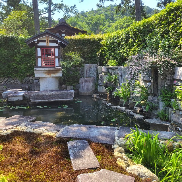 f:id:atoriatoriatori:20220602153616j:image f:id:atoriatoriatori:20220602153616j:image