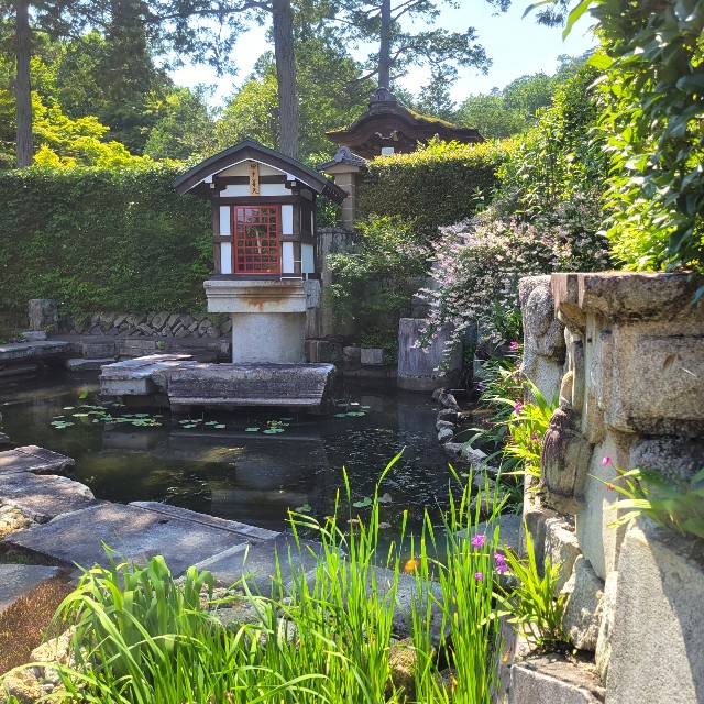 f:id:atoriatoriatori:20220602153623j:image f:id:atoriatoriatori:20220602153623j:image