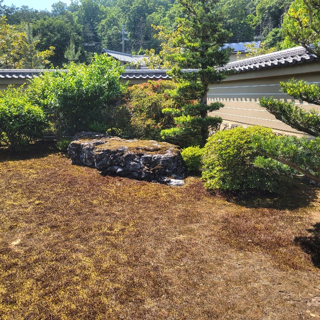 f:id:atoriatoriatori:20220602153633j:image f:id:atoriatoriatori:20220602153633j:image