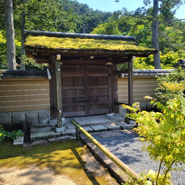 f:id:atoriatoriatori:20220602153643j:image f:id:atoriatoriatori:20220602153643j:image