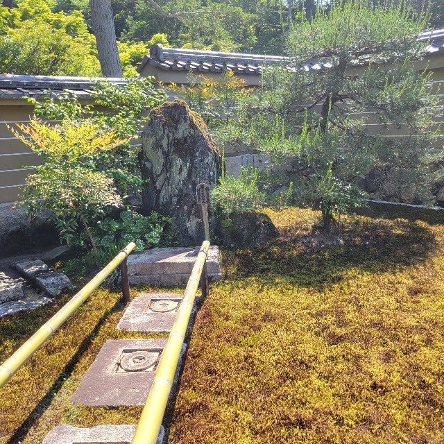 f:id:atoriatoriatori:20220602153648j:image f:id:atoriatoriatori:20220602153648j:image