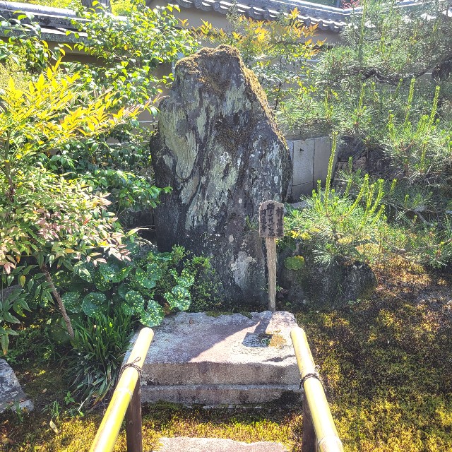 f:id:atoriatoriatori:20220602153858j:image f:id:atoriatoriatori:20220602153858j:image