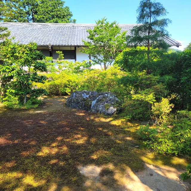 f:id:atoriatoriatori:20220602153909j:image f:id:atoriatoriatori:20220602153909j:image