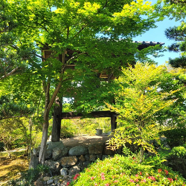 f:id:atoriatoriatori:20220602154257j:image f:id:atoriatoriatori:20220602154257j:image