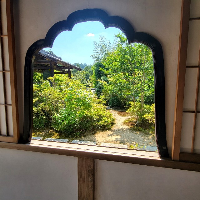 f:id:atoriatoriatori:20220602160021j:image f:id:atoriatoriatori:20220602160021j:image