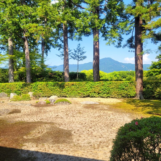 f:id:atoriatoriatori:20220602175154j:image f:id:atoriatoriatori:20220602175154j:image