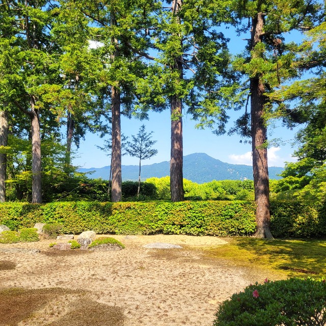 f:id:atoriatoriatori:20220602175522j:image f:id:atoriatoriatori:20220602175522j:image